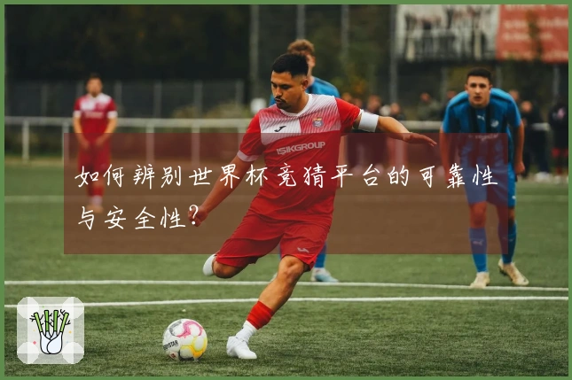 如何辨别世界杯竞猜平台的可靠性与安全性？